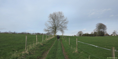 Riville (Chemin)