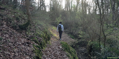 Thiétreville (Sentier)