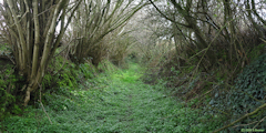 Normanville (Chemin)