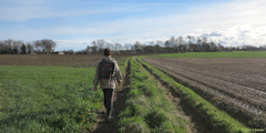 Limpiville (Chemin)