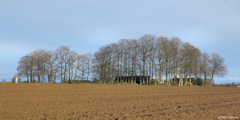 Limpiville (Clos-Masure)