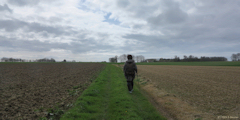 Angerville-Bailleul (Chemin)