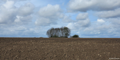Bréauté (Plaine)