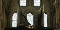 Lion sur Mer (Orgue)