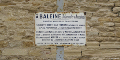 Luc sur Mer (Panneau)