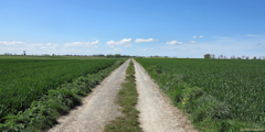 Graye sur Mer (Chemin)
