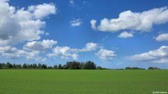 Goderville (Plaine)