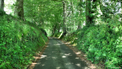 Criquetot l'Esneval (Route 1)