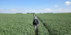 Ecrainville (Chemin 1)