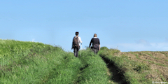 Ecrainville (Chemin 3)