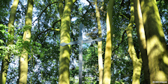 Ecrainville (Croix)