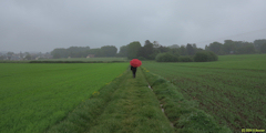 Criquetot l'Esneval (Chemin)