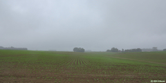 Criquetot l'Esneval (Plaine)