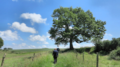 Turretot (Chemin 2)