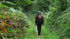 Le Bois-Robert (Chemin)