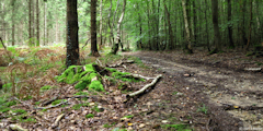 Massif de Pimont (Chemin 1)