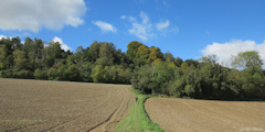 Saint Germain d'Etables (Chemin 5)