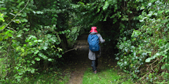 Saint Crespin (Chemin 1)