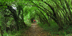 Saint Crespin (Chemin 2)