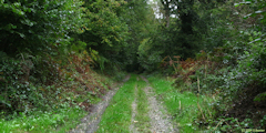 Les Cent Acres (Chemin 1)