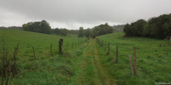 Sainte Foy (Chemin 1)