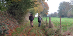 Auffay (Chemin)