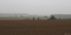 Auffay (Plaine)