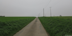 Auffay (Route)