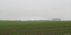 Cropus (Plaine)