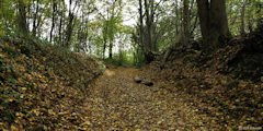 Saint Maclou de Folleville (Chemin 3)