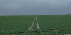 Bracquetuit (Plaine 1)