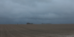 Bracquetuit (Plaine 2)