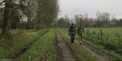 Etaimpuis (Chemin 1)