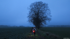 Bosc le Hard (Chemin 1)