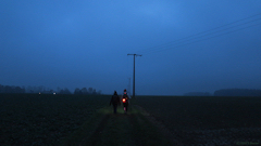 Bosc le Hard (Chemin 2)