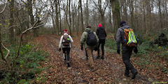 Clères (Chemin 1)