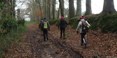 Clères (Chemin 2)