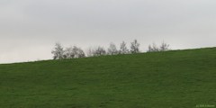 Grugny (Prairie)