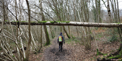 Montville (Chemin 1)