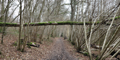 Montville (Chemin 2)