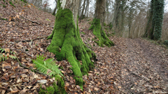 Montville (Chemin 3)