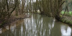 Anceaumeville (Clérette)