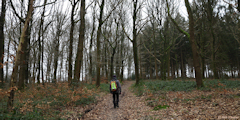 Mont Cauvaire (Chemin 1)