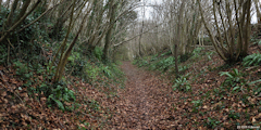 Mont Cauvaire (Chemin 3)