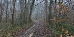 Montville (Chemin 1)