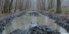 Montville (Chemin 2)