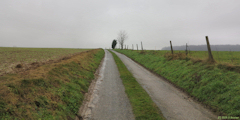 Bosc-Guérard-Saint-Adrien (Chemin 2)