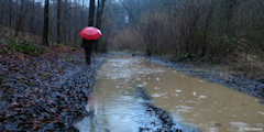 Montville (Chemin 1)