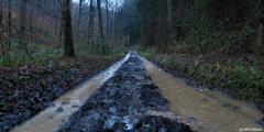 Montville (Chemin 2)