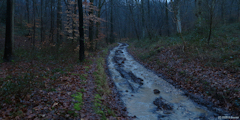 Montville (Chemin 3)